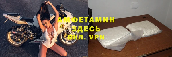 прущие грибы Богданович