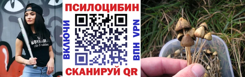 Псилоцибиновые грибы Psilocybe Полесск