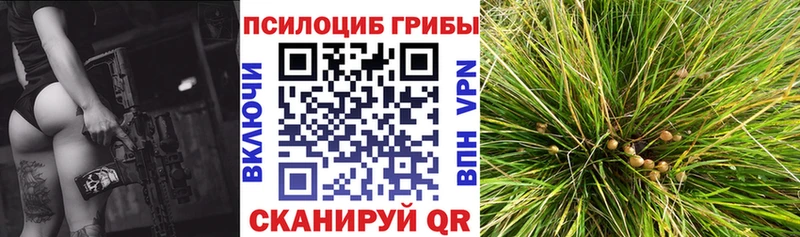 Галлюциногенные грибы мухоморы Полесск
